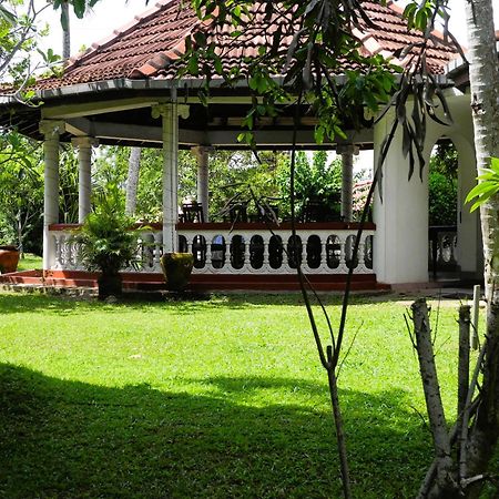 Top Of The Hill Guesthouse Weligama Eksteriør bilde