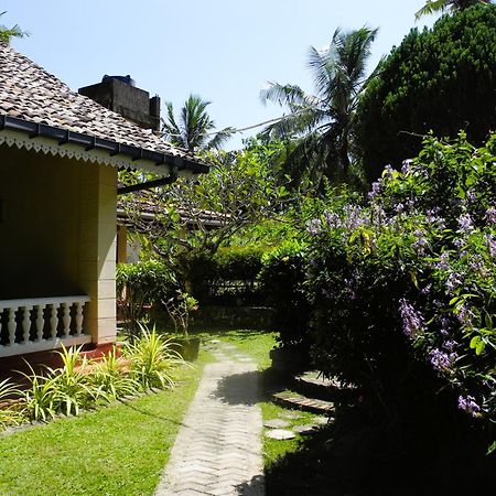 Top Of The Hill Guesthouse Weligama Eksteriør bilde