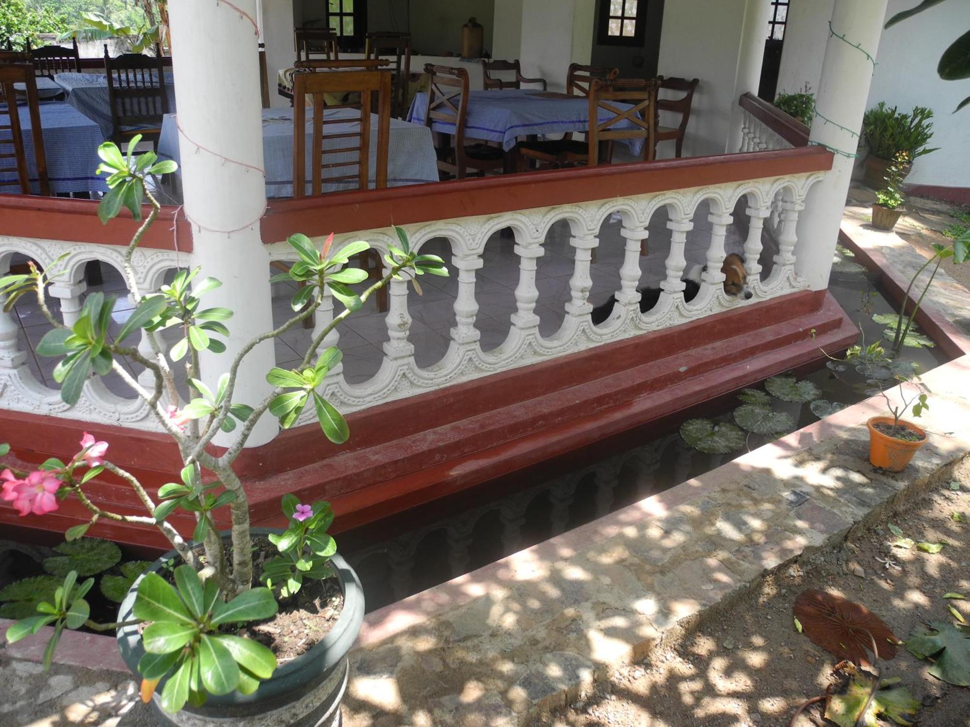 Top Of The Hill Guesthouse Weligama Eksteriør bilde