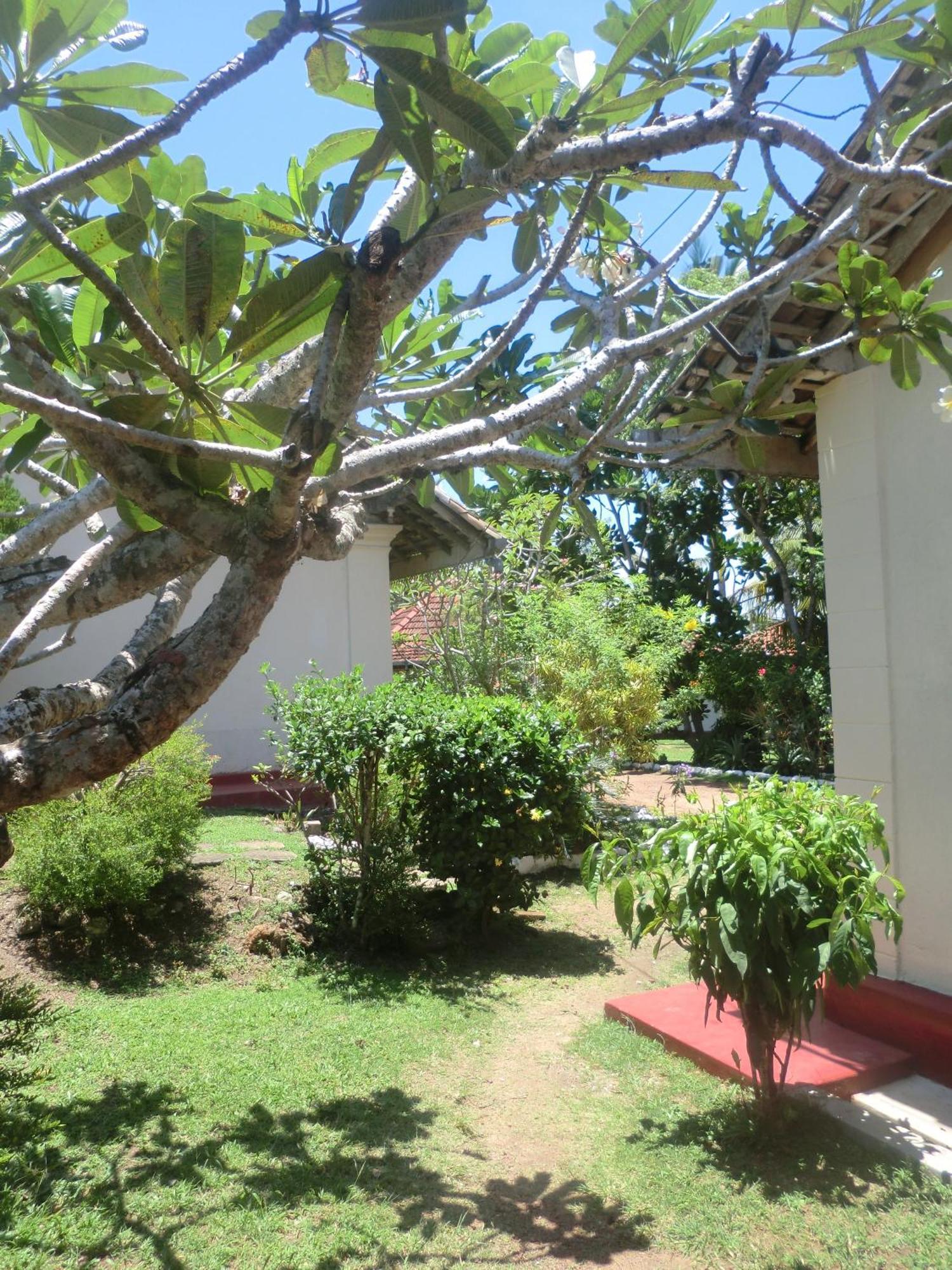 Top Of The Hill Guesthouse Weligama Eksteriør bilde