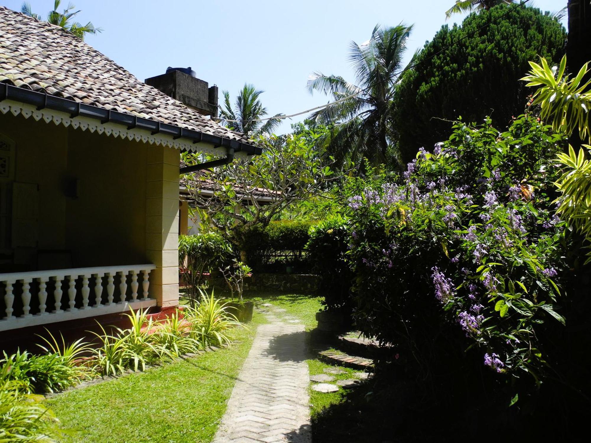 Top Of The Hill Guesthouse Weligama Eksteriør bilde