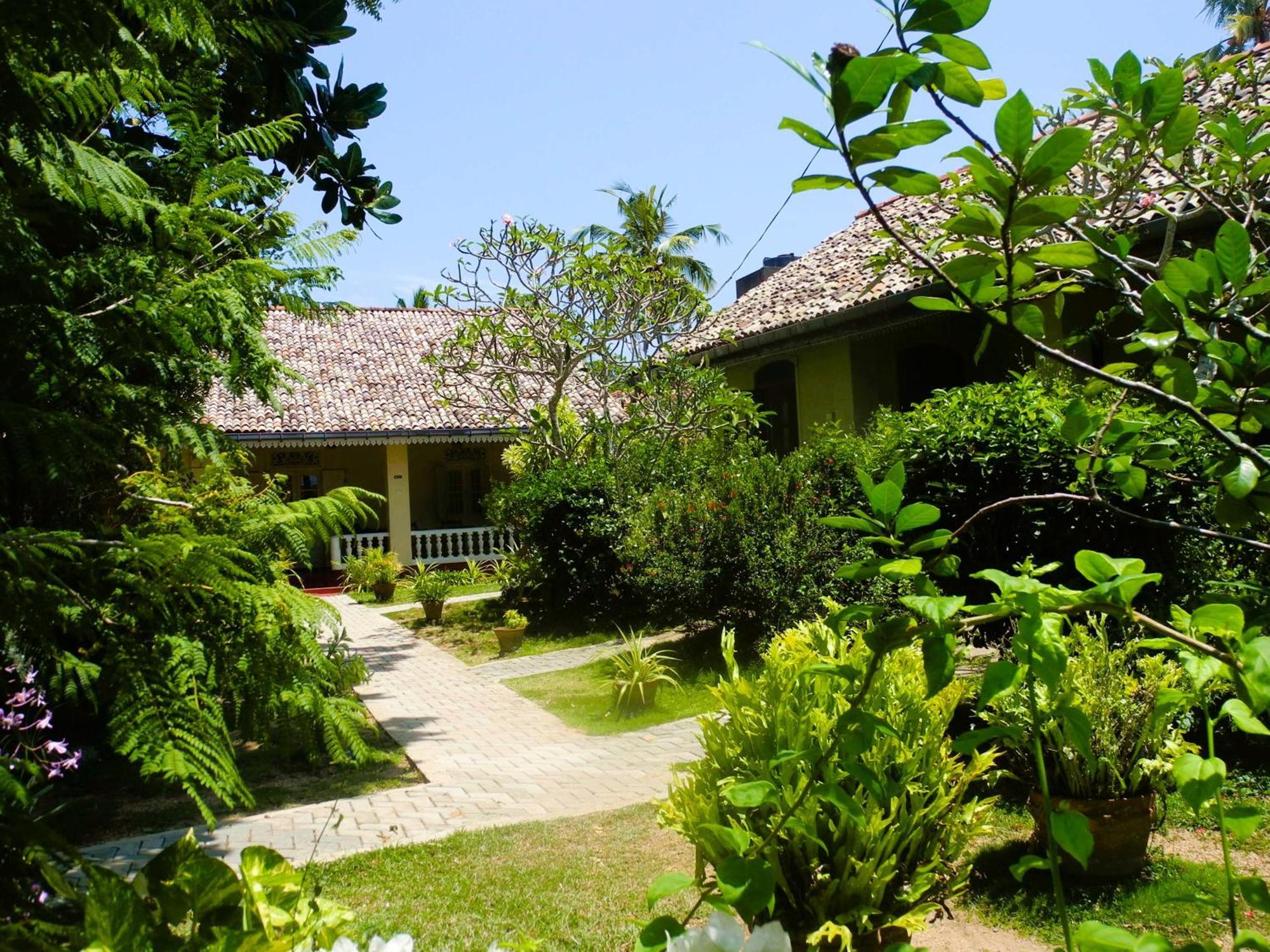Top Of The Hill Guesthouse Weligama Eksteriør bilde