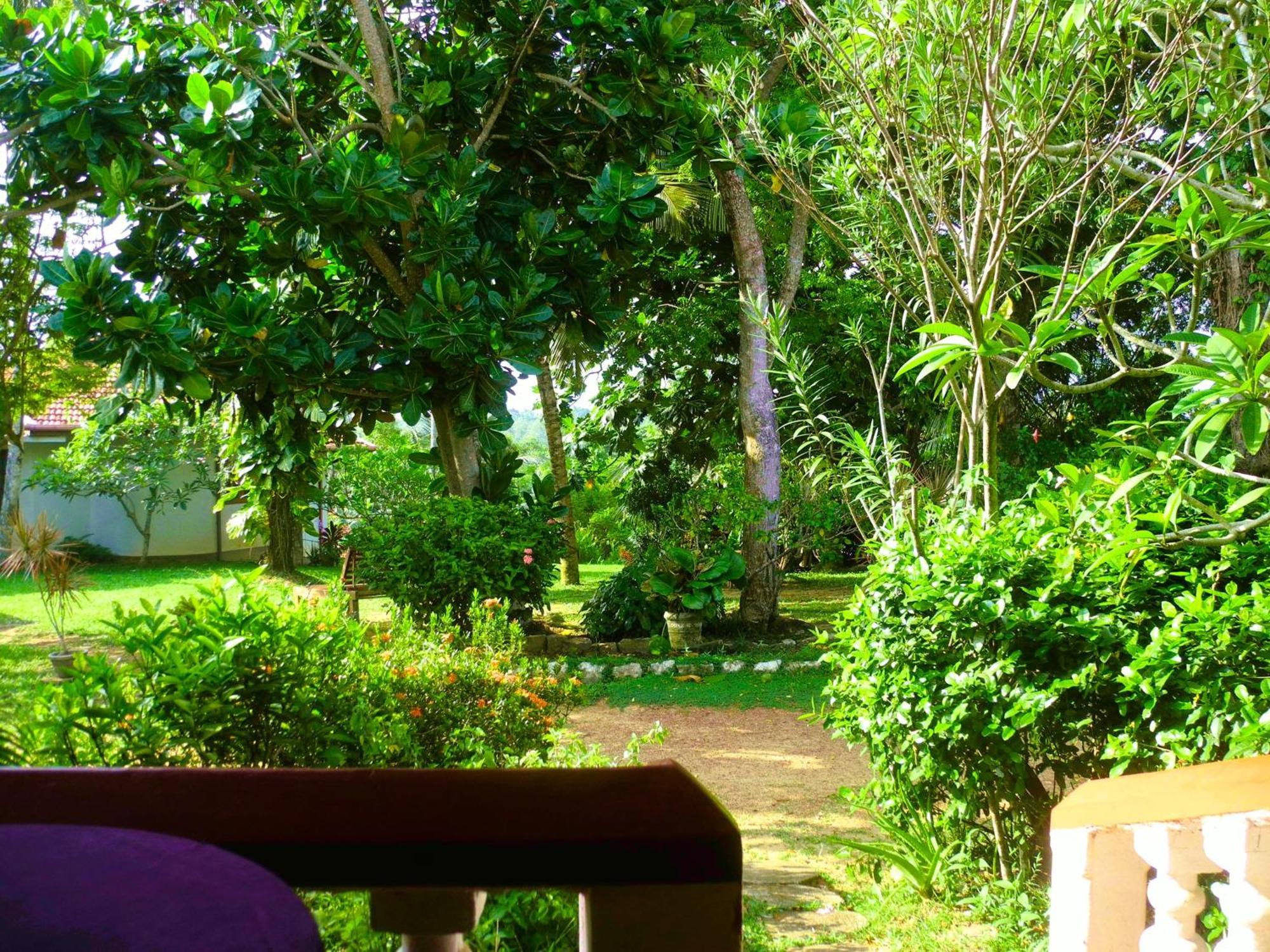 Top Of The Hill Guesthouse Weligama Rom bilde